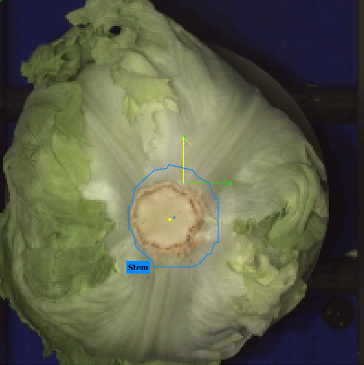 3d Vegetable de-coring