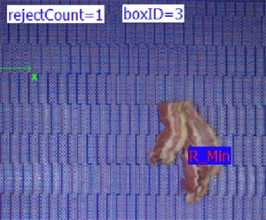 Addressing Challenges in Implementing Machine Vision Systems