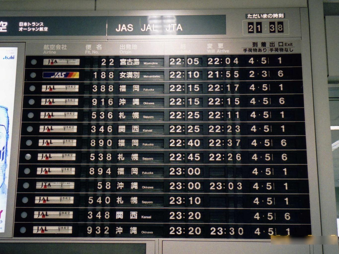 Digitalisation of passenger info