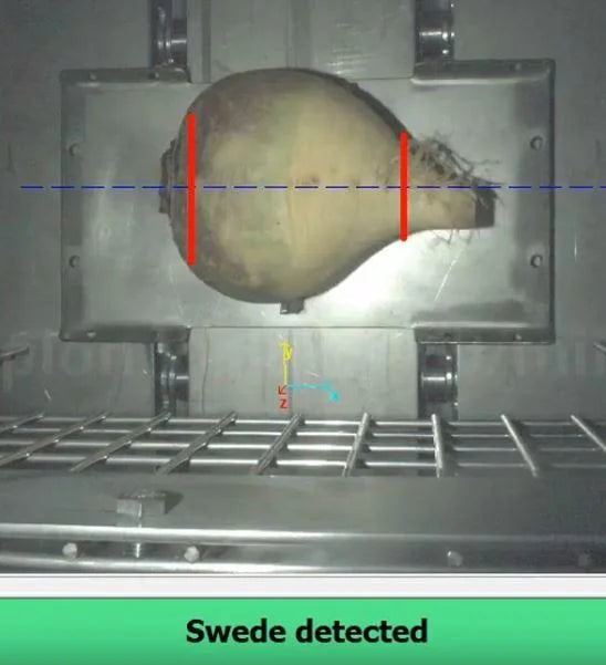 Automated Swede Trimming